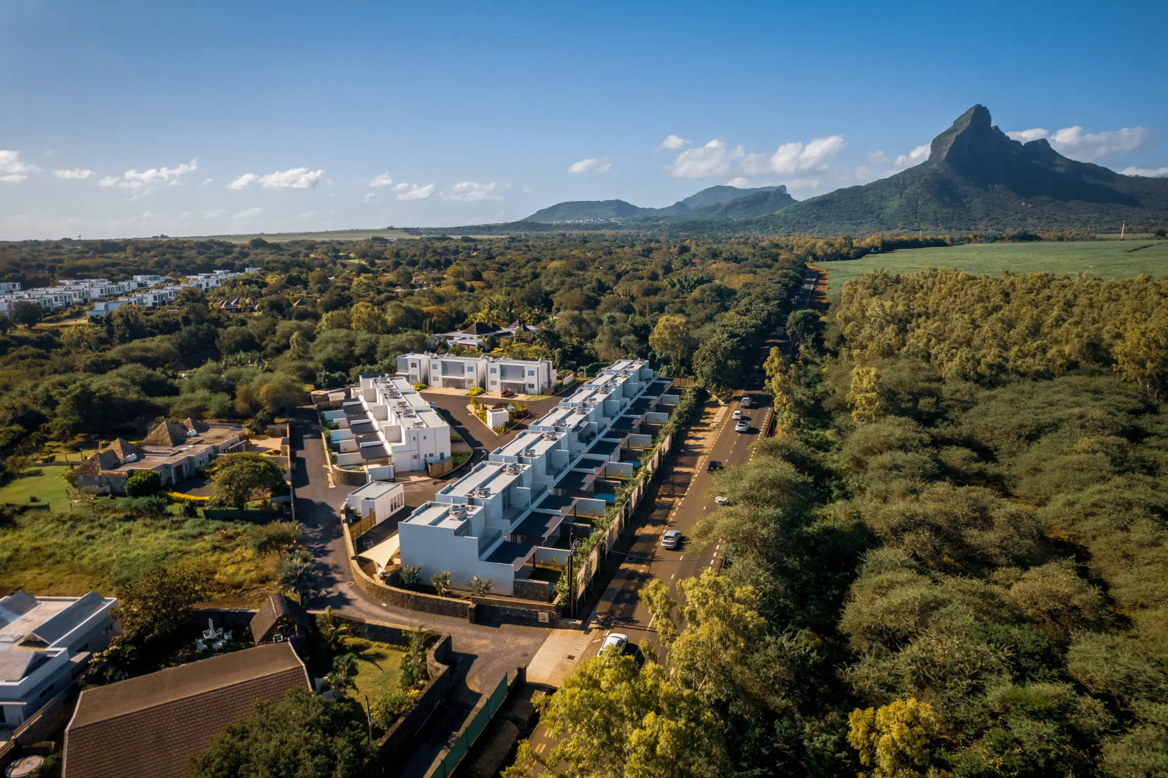 West 24 — view 6